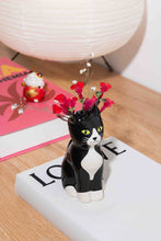 Charger l'image dans la galerie, vase, cat, chat, doiy, déco, maison, cadeau, green, terra, tournai, lille, courtrai, mons

