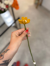 Charger l&#39;image dans la galerie, Anemone yellow
