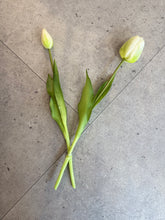 Charger l'image dans la galerie, Tulipes (par 2) - Crème
