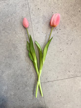 Charger l'image dans la galerie, Tulipes (par 2) - Rose clair
