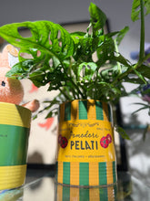 Charger l&#39;image dans la galerie, Cache-pot Tomates rayures
