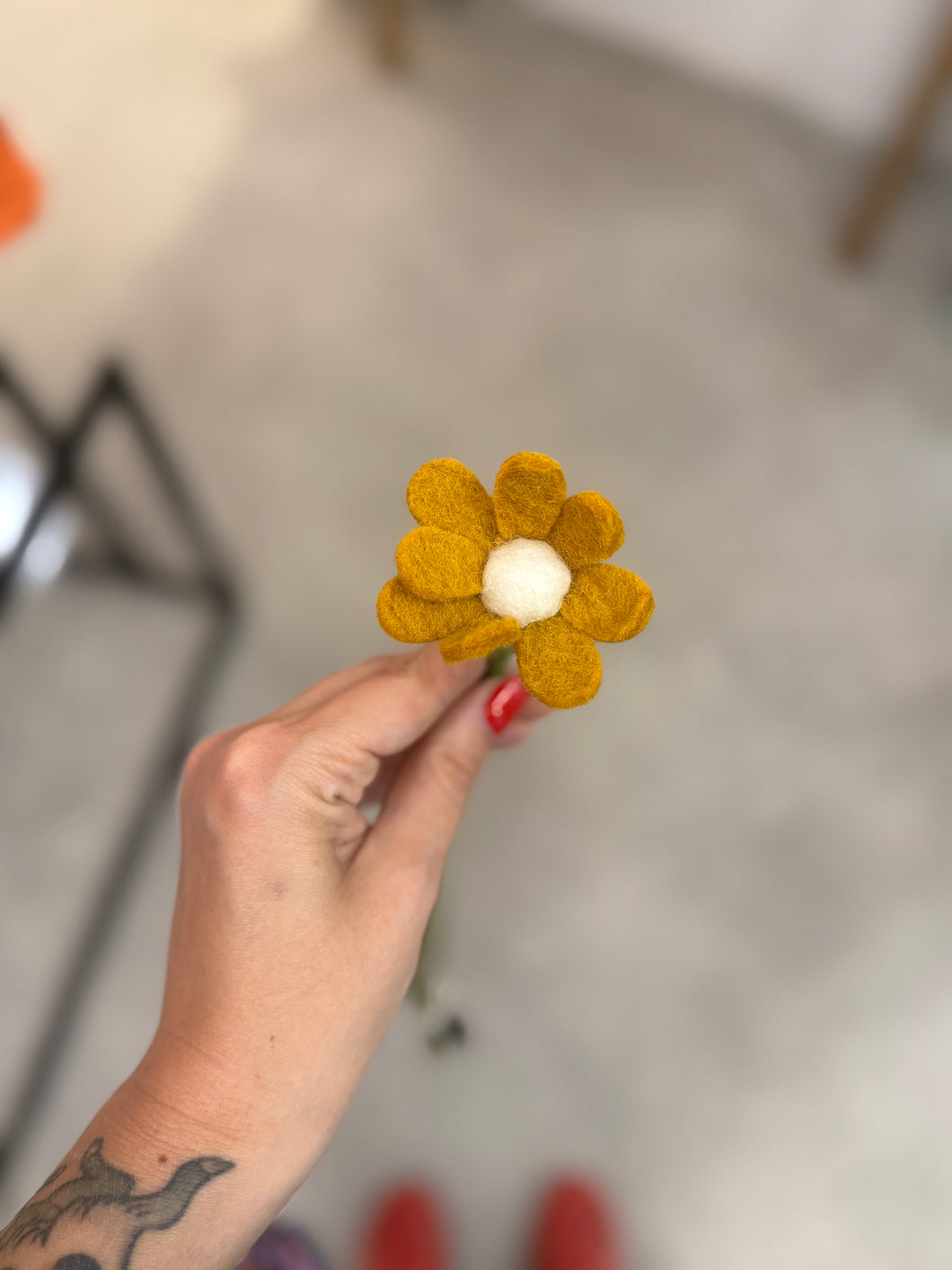 Anemone yellow