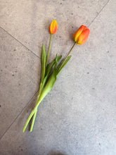 Charger l'image dans la galerie, Tulipes (par 2) - Orange
