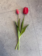 Charger l'image dans la galerie, Tulipes (par 2) - Beauty
