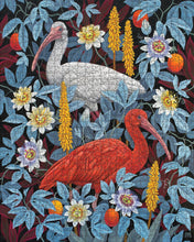 Charger l'image dans la galerie, Vasilisa Romanenko : Ibises - Puzzle 1000p
