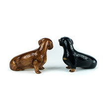 Charger l'image dans la galerie, Salt &amp; peppers teckel
