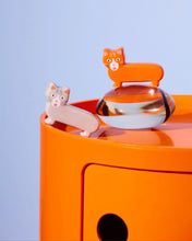 Charger l&#39;image dans la galerie, Sel et poivre Chat
