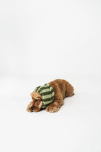 Charger l'image dans la galerie, Cache-oreilles pour chien - motif rayures vertes (2 tailles)
