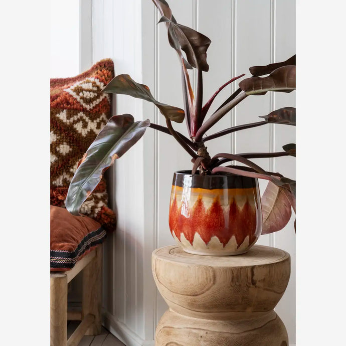 cache, pot, plante, madam, stoltz, green , terra, tournai