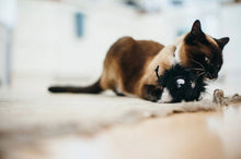 Charger l'image dans la galerie, Jouet pour chat Frenzy
