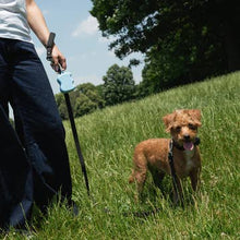 Charger l'image dans la galerie, Distributeur de friandises pour chien (plusieurs coloris)
