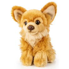 Charger l'image dans la galerie, Peluche chihuahua - 18cm
