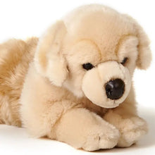 Charger l'image dans la galerie, Peluche golden retriever couché - 39cm
