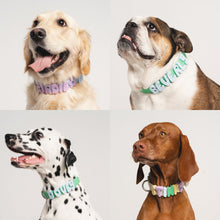 Charger l'image dans la galerie, Charms en silicone pour colliers ou laisses
