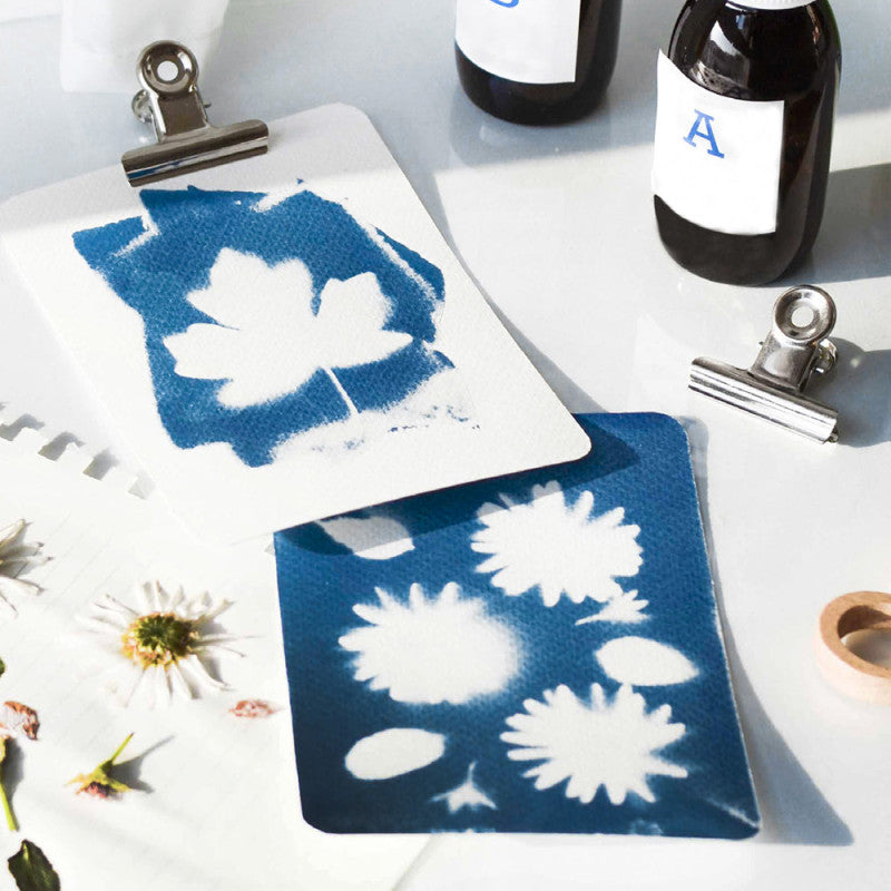 Mon atelier cyanotype