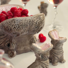 Charger l'image dans la galerie, donkey, green, terra, tournai, lille, bruxelles, mons, courtrai
