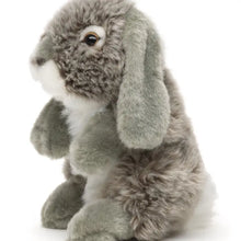 Charger l'image dans la galerie, Peluche lapin bélier - 18cm
