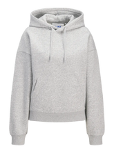 Charger l'image dans la galerie, Sweat à capuche - Gris
