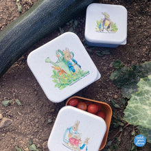 Charger l&#39;image dans la galerie, Set de 3 lunch box Pierre Lapin
