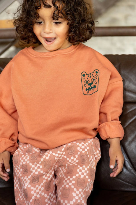 sweat, pull, apaches, enfant, kids, hiver, aw25, green, terra, shoppint, vêtement, online, tournai, courtrai, bruxelles, lille