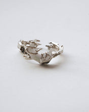 Charger l'image dans la galerie, Bague dragon Crystal
